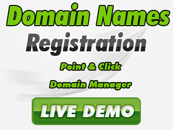 Economical domain registration services